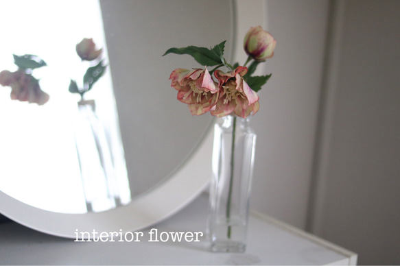 sold out✿*:gift flower✿*: ずっと咲いてる❁*·可憐なクリスマスローズ一 6枚目の画像