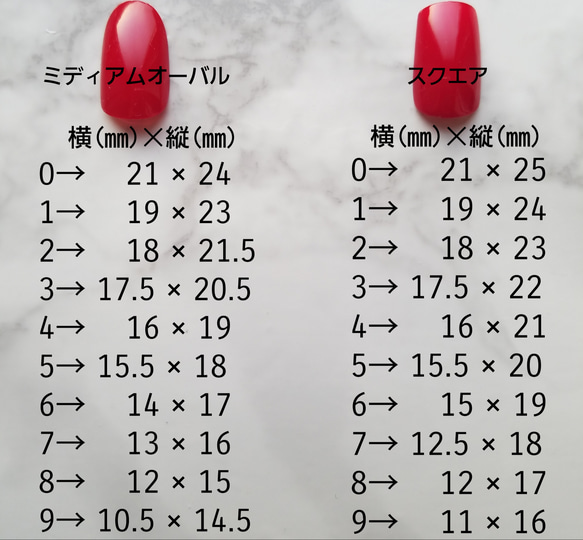 ファッション風 ネイルチップ 2枚目の画像