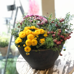 1_d55e3087ddce42d2cd2e9be7e89c