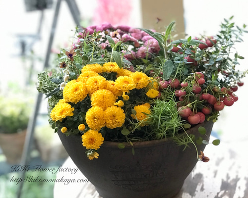 1_d55e3087ddce42d2cd2e9be7e89c