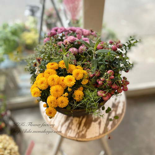 限定1点！さらに値下げ‼ガーデンマムの寄せ植えCreema限定販売 その他