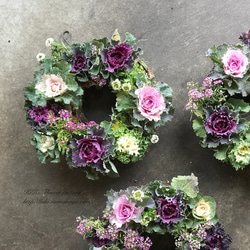 葉牡丹の寄せ植えリース（Creema限定） リース KiKi 通販 3179622