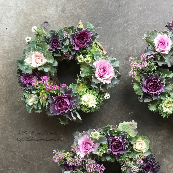 葉牡丹の寄せ植えリース（Creema限定） リース KiKi 通販 3179622
