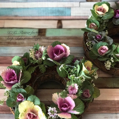 葉牡丹の寄せ植えリース（Creema限定） リース KiKi 通販 3179622