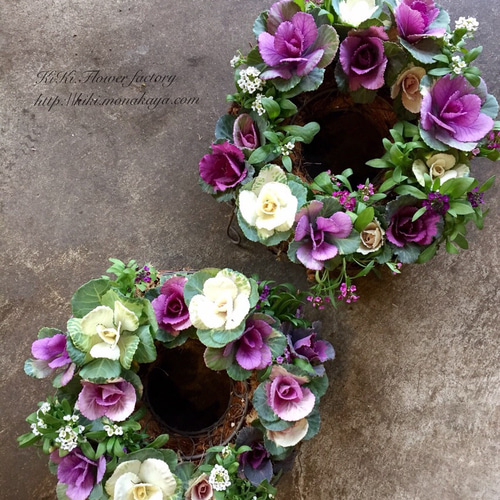 葉牡丹の寄せ植えリース（Creema限定） リース KiKi 通販 3179622
