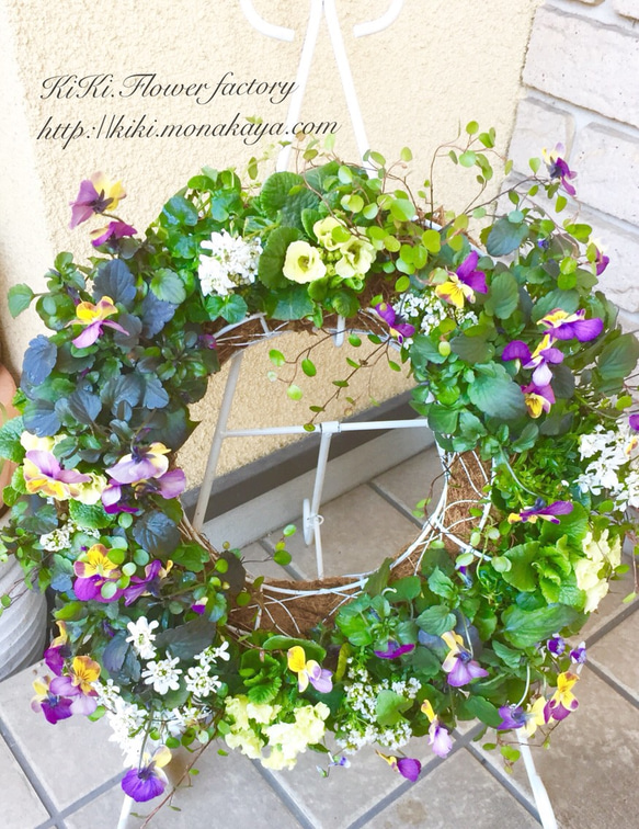 寄せ植えリース(グリーンのジュリアンとアンティークビオラ) リース