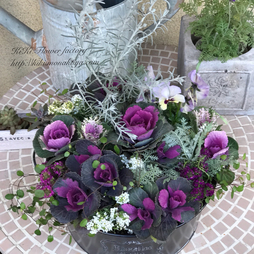 大人シックなハボタンリース シックで華やかなハボタンのリース