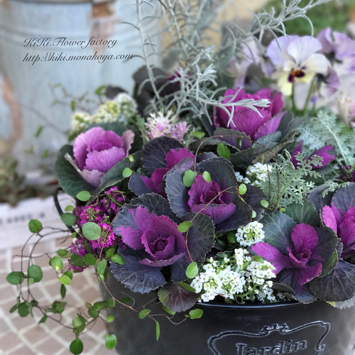 限定お買い得商品！！シックな大人葉牡丹の寄せ植え ハーバリウム