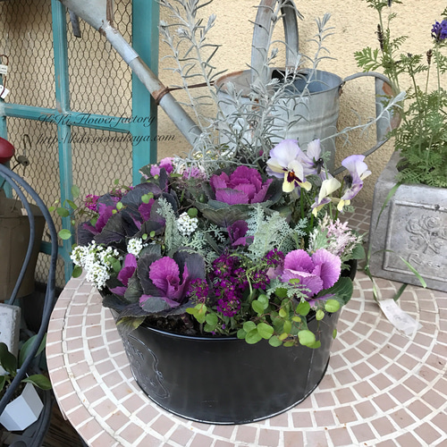 限定お買い得商品！！シックな大人葉牡丹の寄せ植え ハーバリウム