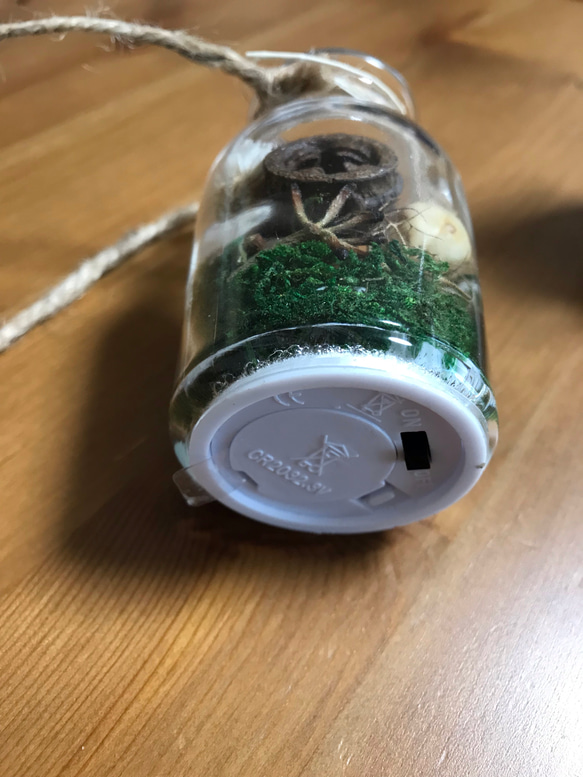 森の木の実の香りの小瓶(LEDライト付き)3個セット 10枚目の画像