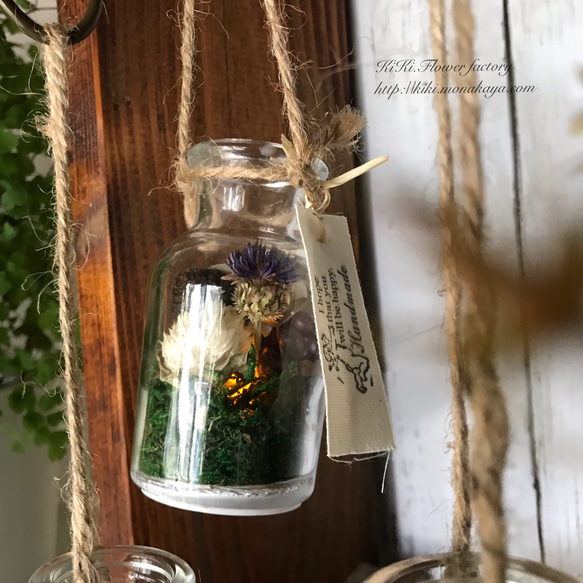 森の木の実の香りの小瓶(LEDライト付き)3個セット 2枚目の画像
