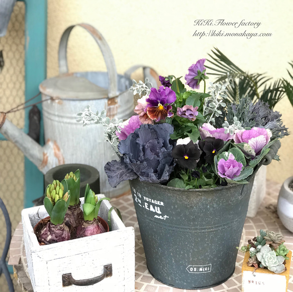 限定特価品‼︎黒い葉牡丹の寄せ植え その他インテリア雑貨 KiKi 通販