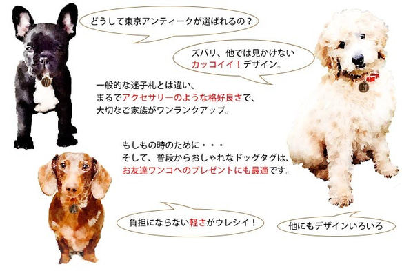 ヴィンテージ ペットタグ 【肉球】犬 ねこ 迷子札 東京アンティーク 10枚目の画像