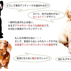 ヴィンテージ ペットタグ 【ココア】犬 ねこ 迷子札 東京アンティーク 10枚目の画像