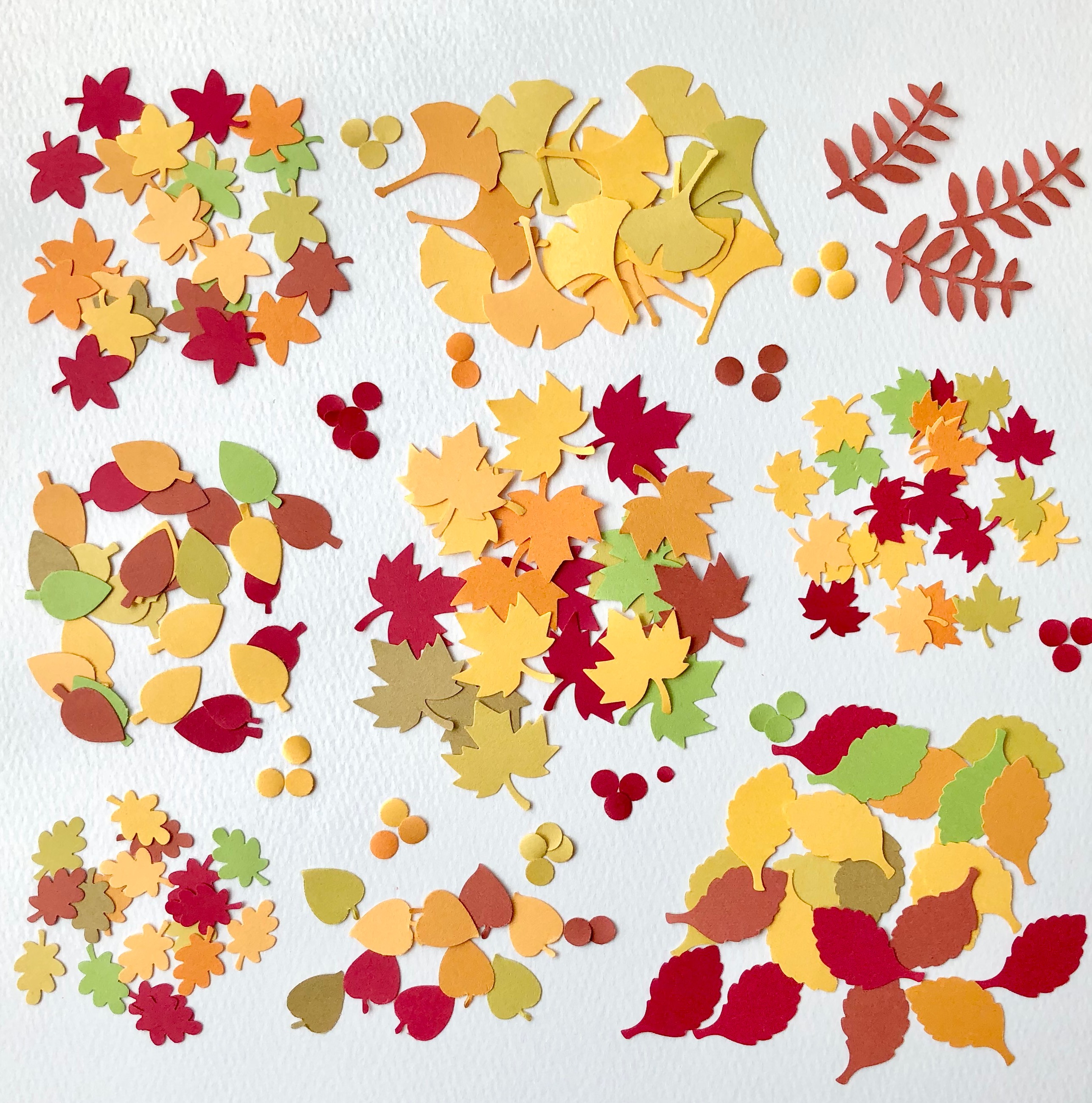 クラフトパンチ紅葉イチョウ落ち葉いろいろセット〜秋 もみじ いちょう  