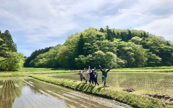 つぶつぶ美味しい！石川県産《2kg》コシヒカリアモーレ 4枚目の画像