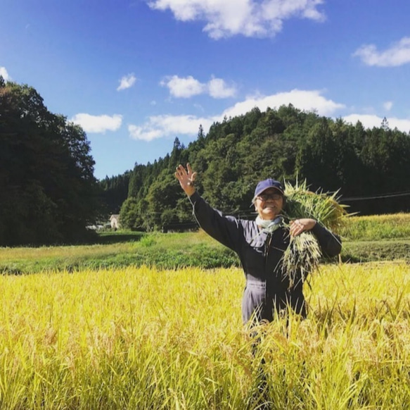 つぶつぶ美味しい！石川県産《2kg》コシヒカリアモーレ 8枚目の画像