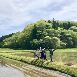 つぶつぶ美味しい！石川県産《3kg》コシヒカリアモーレ 4枚目の画像