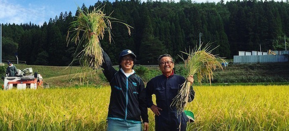 つぶつぶ美味しい！石川県産《3kg》コシヒカリアモーレ 6枚目の画像