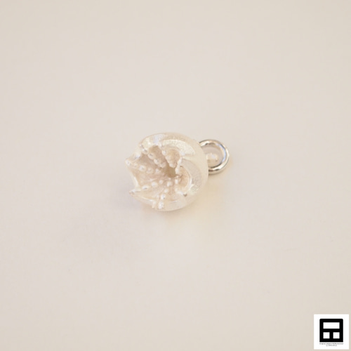 メンダコ!ページです。 0_db3da46a0822225d8359757850d9