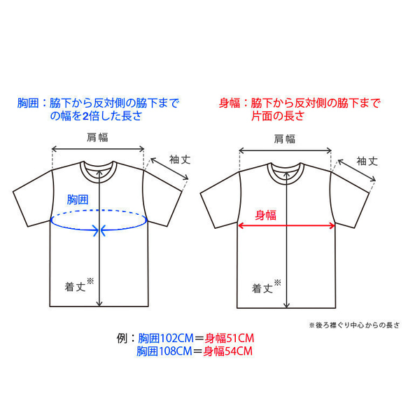 Tシャツ Co-Star001 9枚目の画像