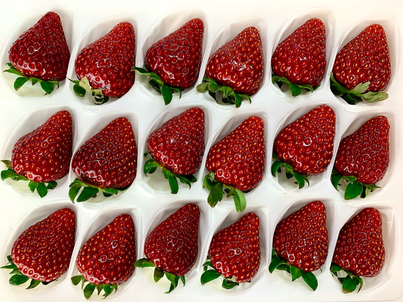 とても稀少な黒いちご】軽井沢高原プレミアムいちご（真紅の美鈴