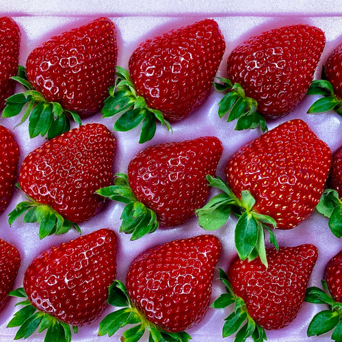 いちごメロン♪ページです。 f38df424841b293425226cf11c6d1c