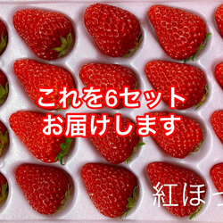 ★軽井沢高原★お家でイチゴ狩り【スタンダードコース】全国送料無料でお届けします 1枚目の画像