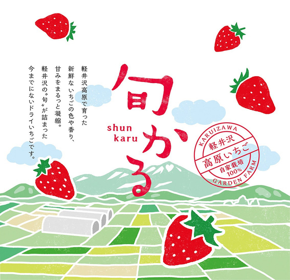 今までにない苺スイーツ【軽井沢高原いちご自家栽培100%使用】無添加無着色・砂糖甘味料不使用 ＜旬かる＞全国送料無料 6枚目の画像