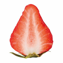 今までにない苺スイーツ【軽井沢高原いちご自家栽培100%使用】無添加無着色・砂糖甘味料不使用 ＜旬かる＞全国送料無料 8枚目の画像