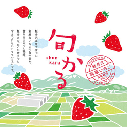 稀少な白いちごのまるっとドライスイーツ【軽井沢高原いちご自家栽培100%】無添加・砂糖甘味料不使用 ＜旬かる＞送料無料 10枚目の画像