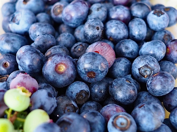摘みたて新鮮なこだわりの「信州ブルーベリー」をお届けします 6枚目の画像