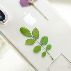 1本の柘榴色ローズ&薔薇の茎iPhoneケースiPhoneＸ/XS/XR/XS MAX/11 2枚目の画像