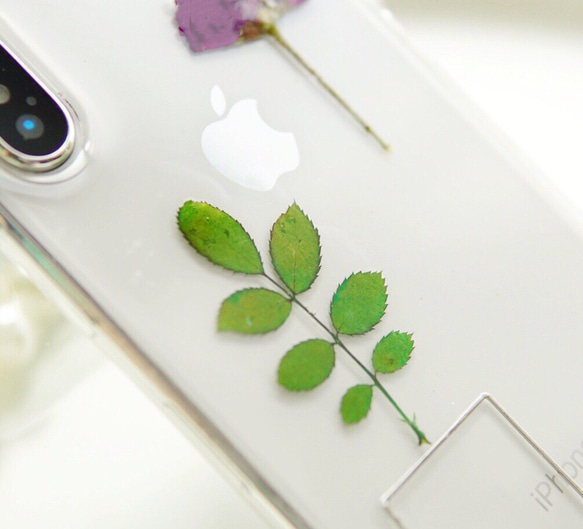 1本の柘榴色ローズ&薔薇の茎iPhoneケースiPhoneＸ/XS/XR/XS MAX/11 2枚目の画像