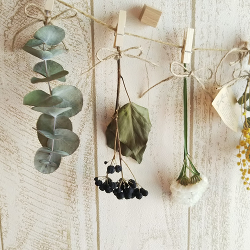 ミモザと彩り綺麗なドライフラワー ガーランド7点セット ガーランド  