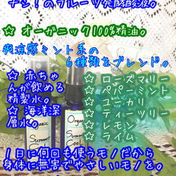 99.9%除菌♡スーと涼しいマスクスプレー♡ペーパーミント系で息爽やか♪オーガニックエッセンシャルオイル6種類100ml 2枚目の画像