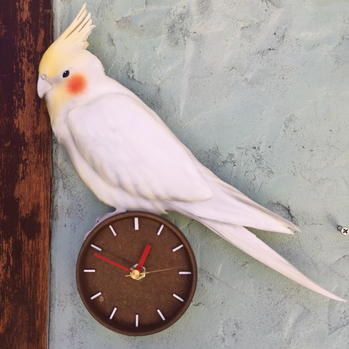 インコちゃん時計(3D リアル 立体) 木製オーダーペット時計