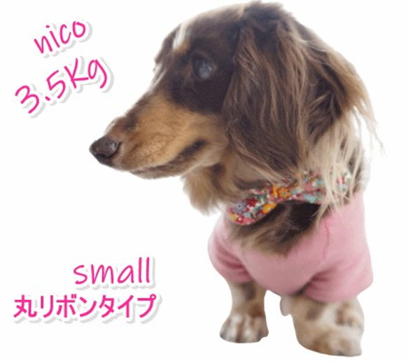 リボンシュシュ♪　犬　子犬　小型犬　中型犬　猫　ねこ　かわいい　選べるサイズ・柄・タイプ　チョーカー 10枚目の画像