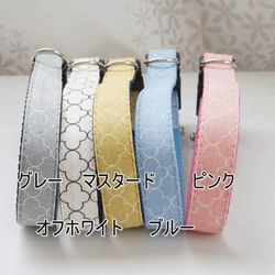 モロッカンプチ（全５色）犬用首輪（１０mm／１５ｍｍ／２０ｍｍ幅）　オーダーメイド　小型犬　中型犬　子犬　おしゃれ 2枚目の画像