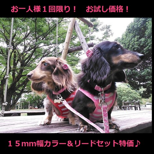 【色: グレー】【令和4年アップグレード】 S&L 犬用ハネース 小型犬 中型犬