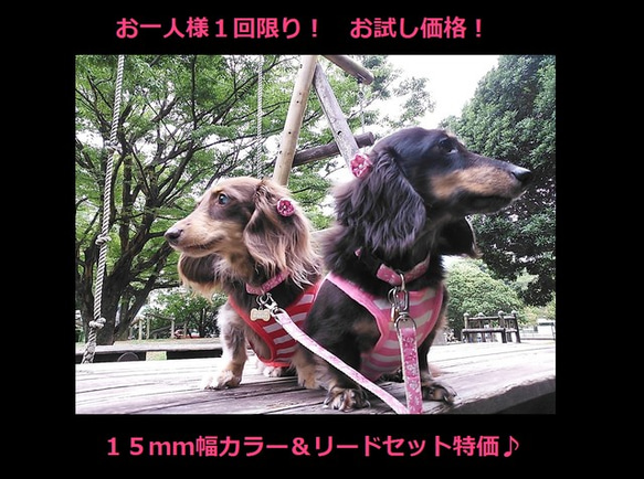 【色: オレンジ】【令和4年アップグレード】 S&L 犬用ハーネス 小型犬 中型