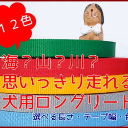 犬用ロングリード＊選べる長さ　便利な収納ベルト付き！ 無地タイプ　１５mm／２０mm幅　オーダーメイド　子犬　犬 1枚目の画像