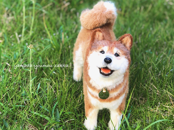 【オーダー 羊毛フェルト】犬猫等《うちの子35cm》マスコット 14枚目の画像