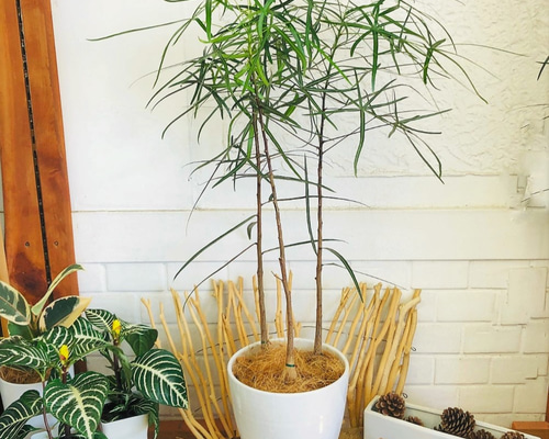 0_95df238ff6375eb08202b6498c94