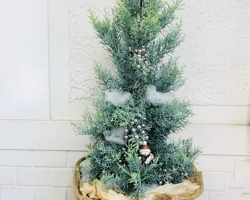 しずくさま専用ページ☆コニファーのクリスマスツリー プリザーブド 0_4d0559352860887ff3e2a296b853