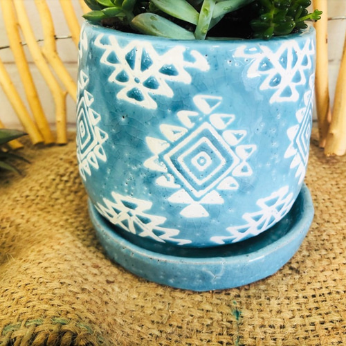 多肉植物♪寄せ植え 陶器鉢 観葉植物 グリーンインテリア 夏