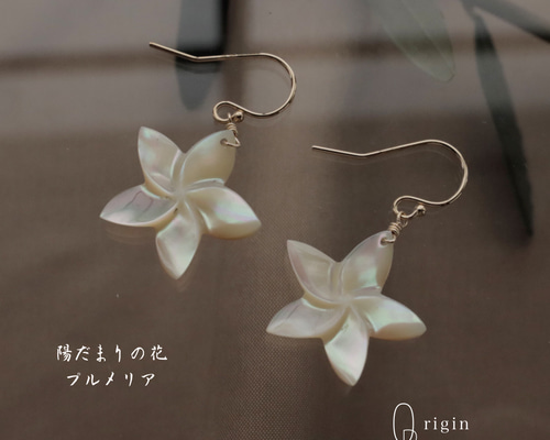 1_9d8f897dee3cbdd05f7680b6a237