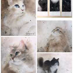 Pet Portrait 單隻寵物肖像/寵物畫/15cmx15cm/19.5cmx27.5cm/可含框 第6張的照片