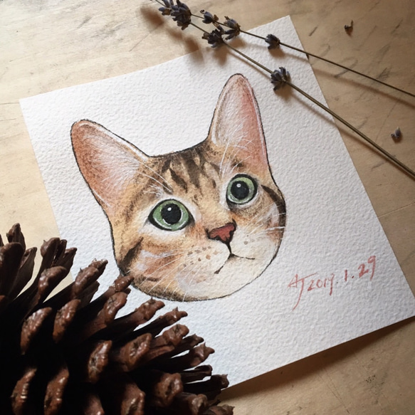 Pet Portrait 單隻寵物肖像/寵物畫/15cmx15cm/19.5cmx27.5cm/可含框 第9張的照片