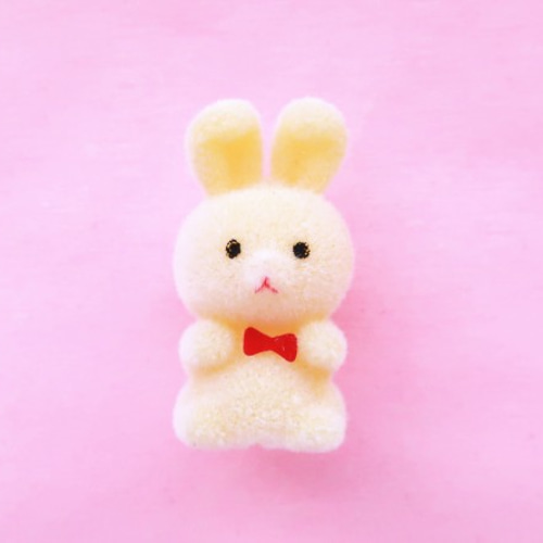 小さなイエロー×ピンクうさぎちゃん 小さなイエロー×ピンクうさぎちゃん